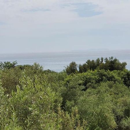Seaview Apartment Borsh Kültér fotó